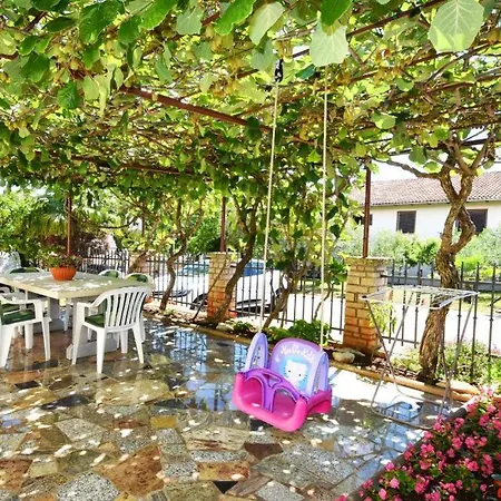 Guest house And Branka
